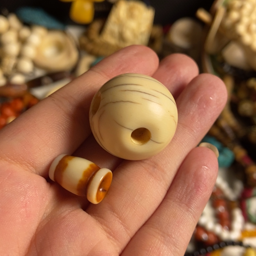 巴***瓦核桃木/黑胡桃（胡桃木）喜马拉雅招财