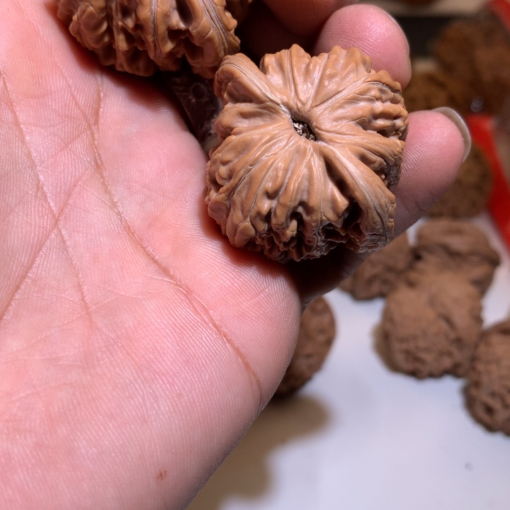 桃核把件录**博文玩核桃汉高楼