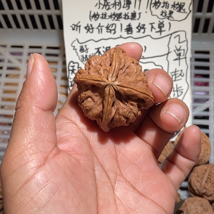 放***牛核桃玉玺四棱尺寸45有黄