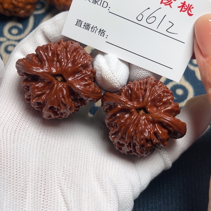 老***赵小洁玩核桃42南疆6612