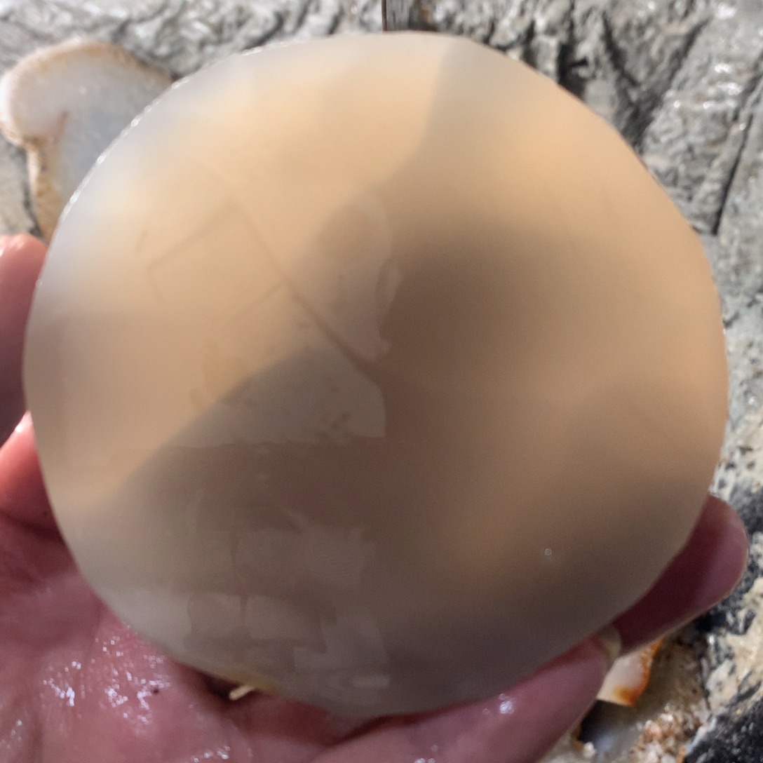 定制玛瑙微*定制玛瑙