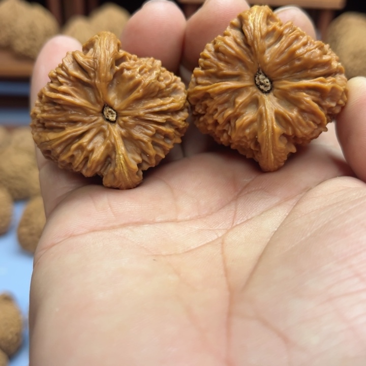 完全开放༺****༻南疆石