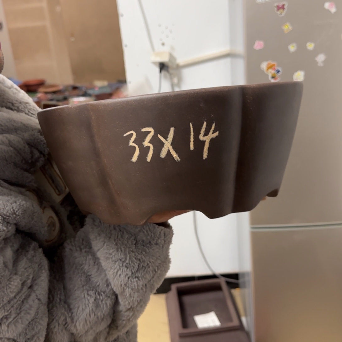 紫砂花盆呜呜呜呜
