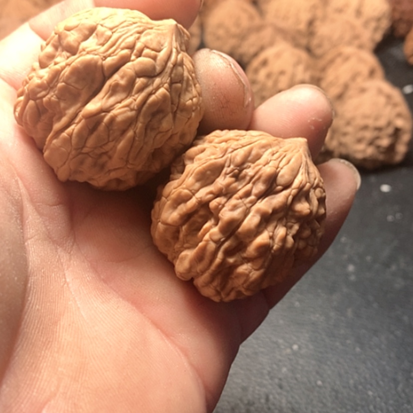 【闪购商品】雄*一帆风顺