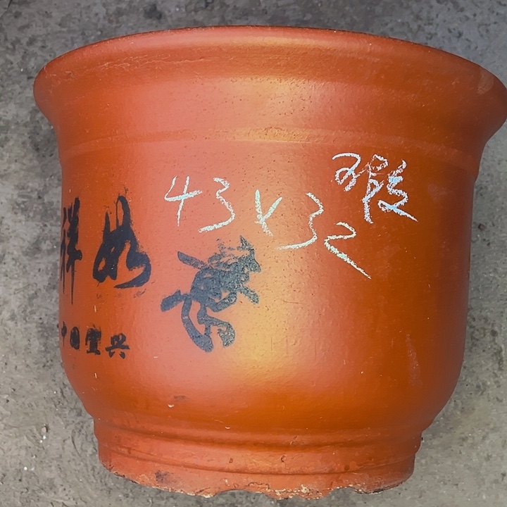 红陶紫砂艺术学院