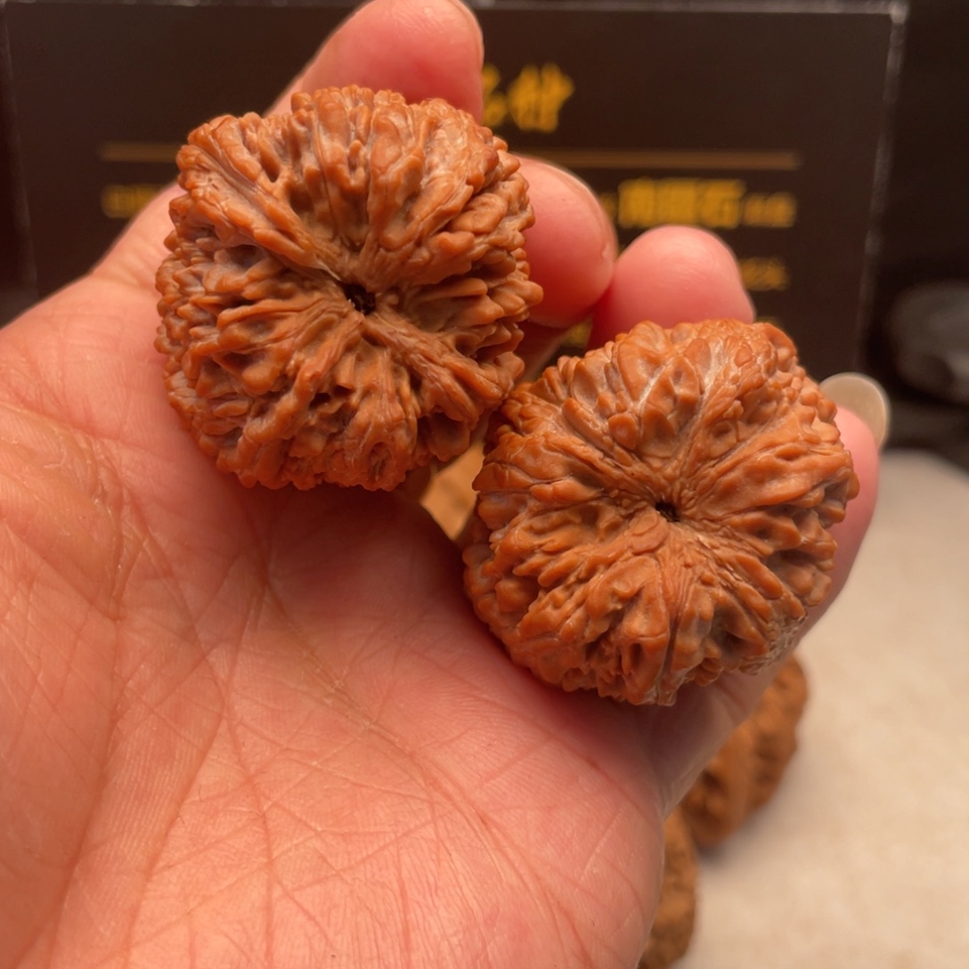 文玩核桃把件省*号37尺全品大蒜头