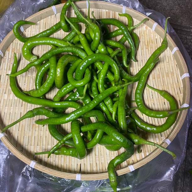 贵州老品种辣椒土特产