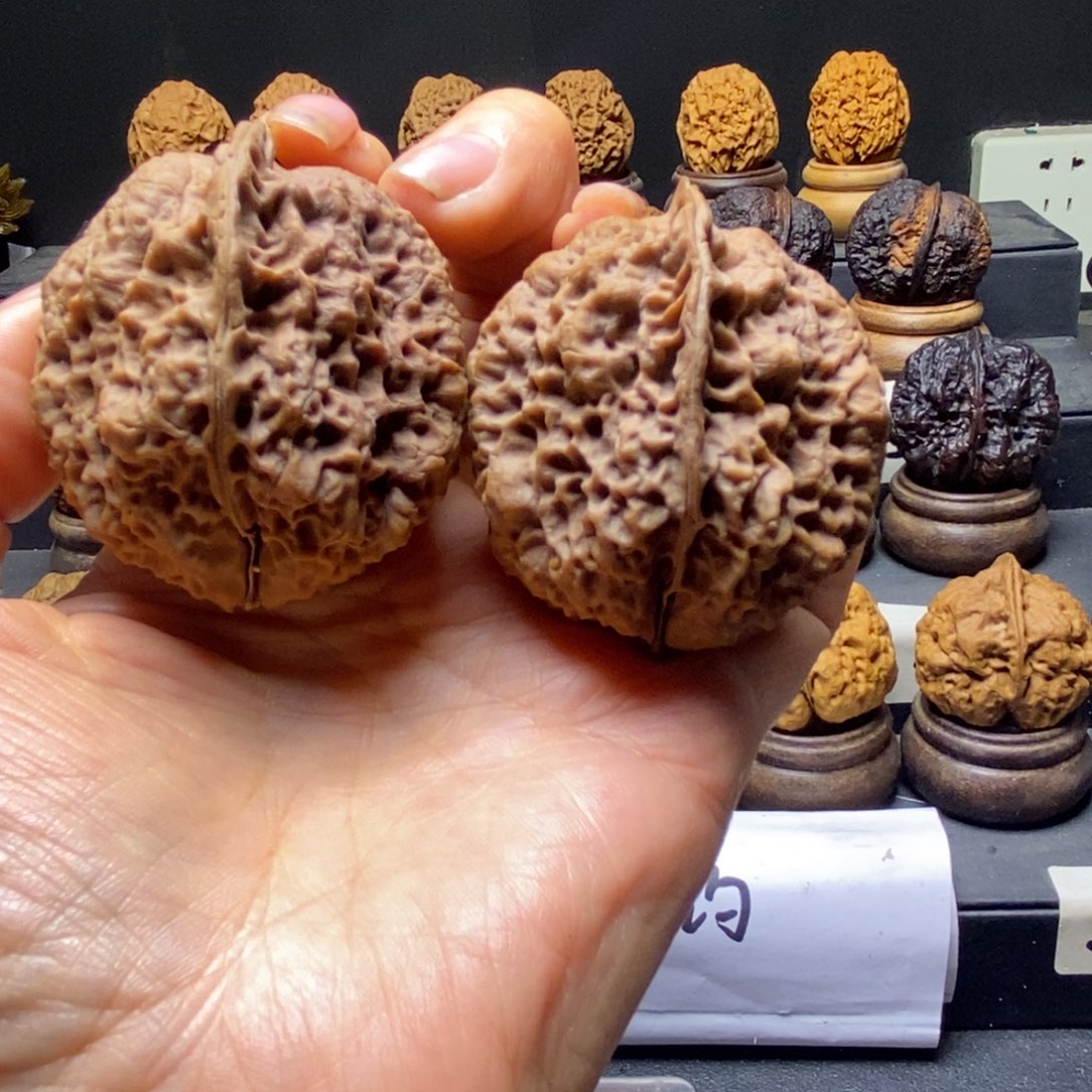 百***号四海飞龙45尺寸云铁