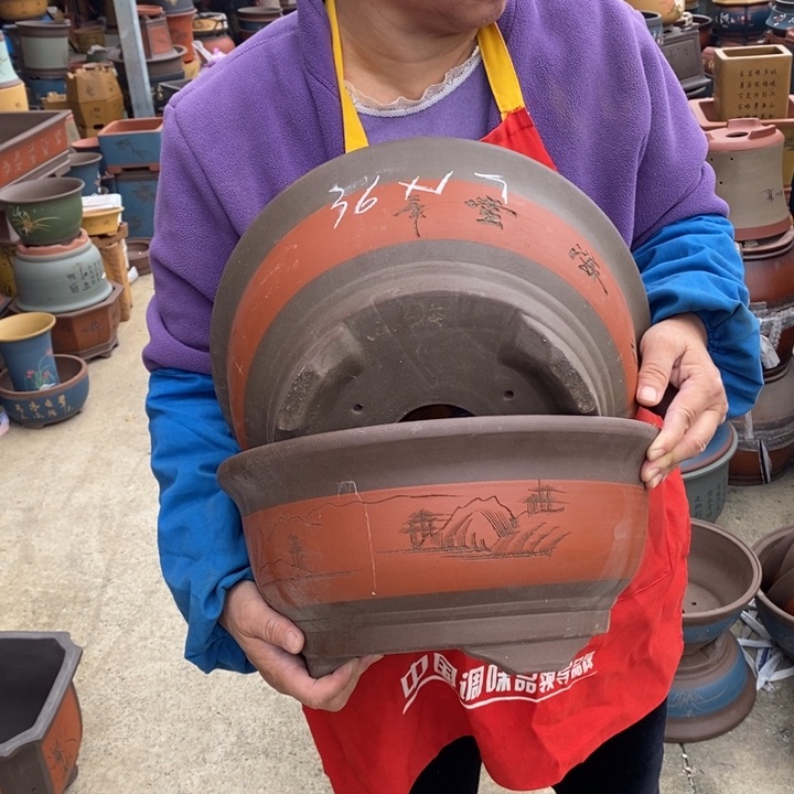 紫砂花盆紫砂花盆