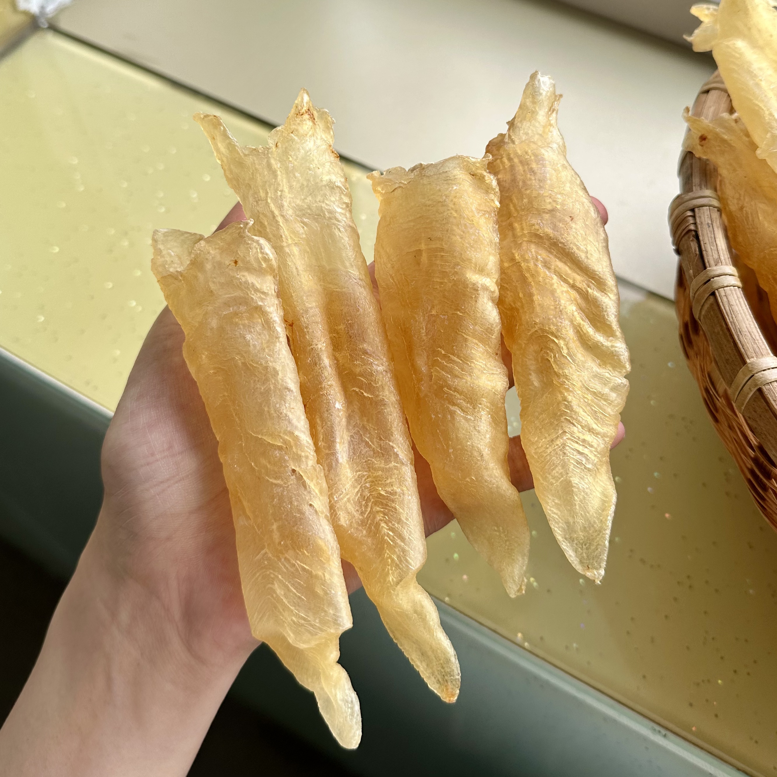 H218191 裕初 蜘蛛母261g-500g鱼胶花胶 干货 广东汕头
