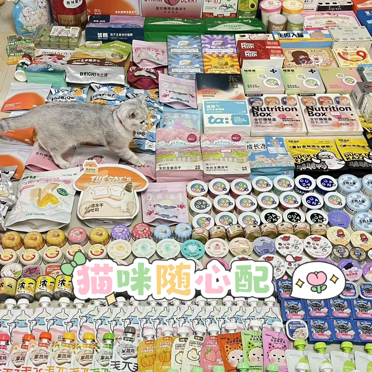 阿福宠物猫咪套餐随心配仓库现场搭配明盒