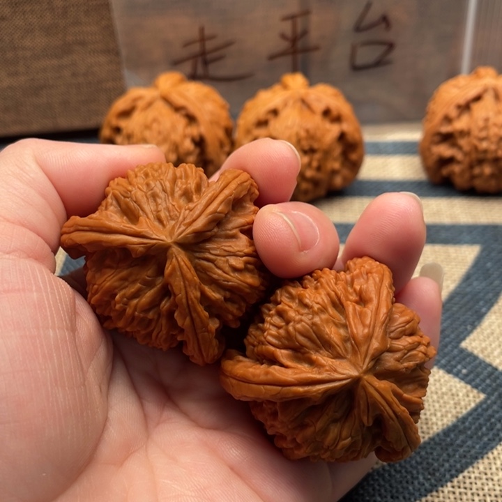 垚***垑核桃白狮子40核桃