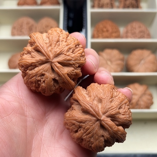 桃核吊坠全品大粗筋极致配对