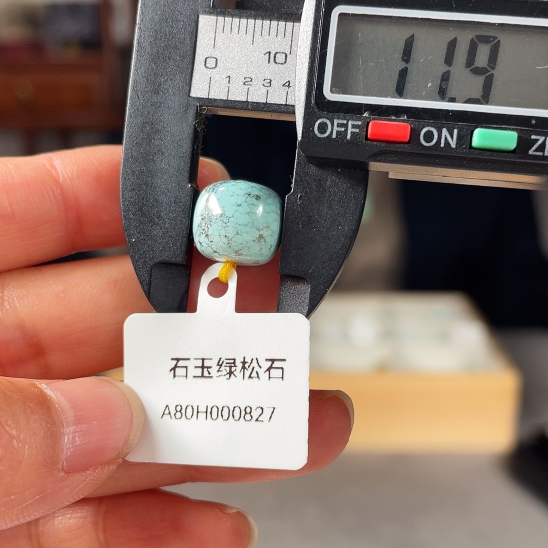 绿松石颈饰未镶嵌