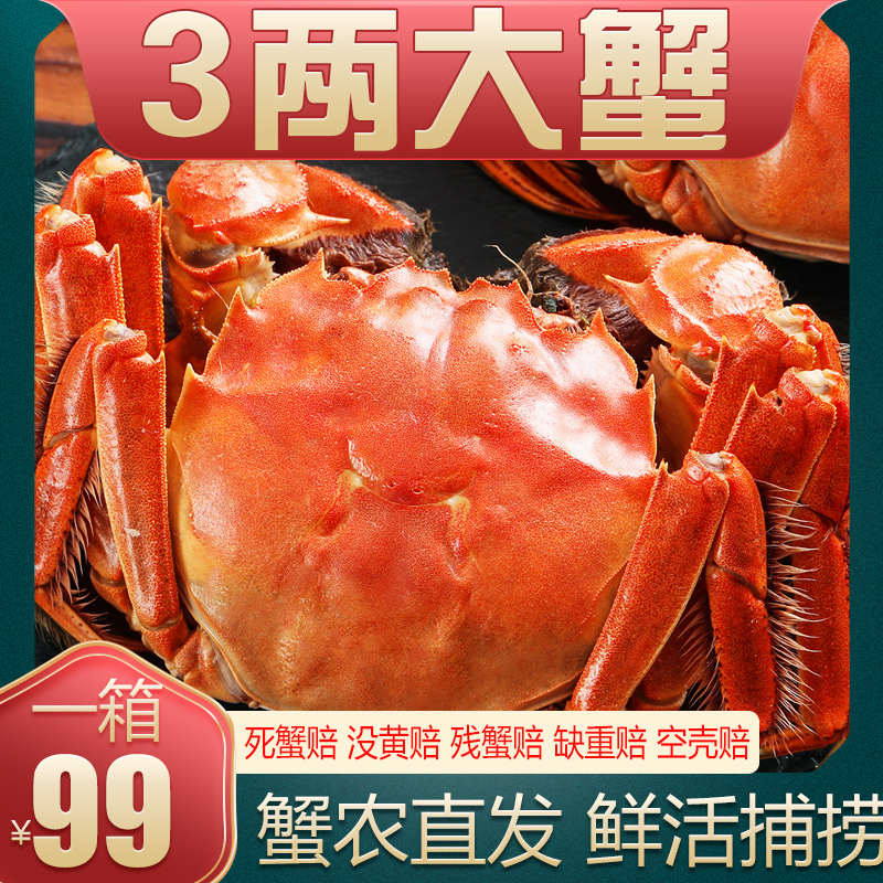 Z活蟹江苏河蟹公蟹3·0-2·7两京东顺丰 买6只送2只