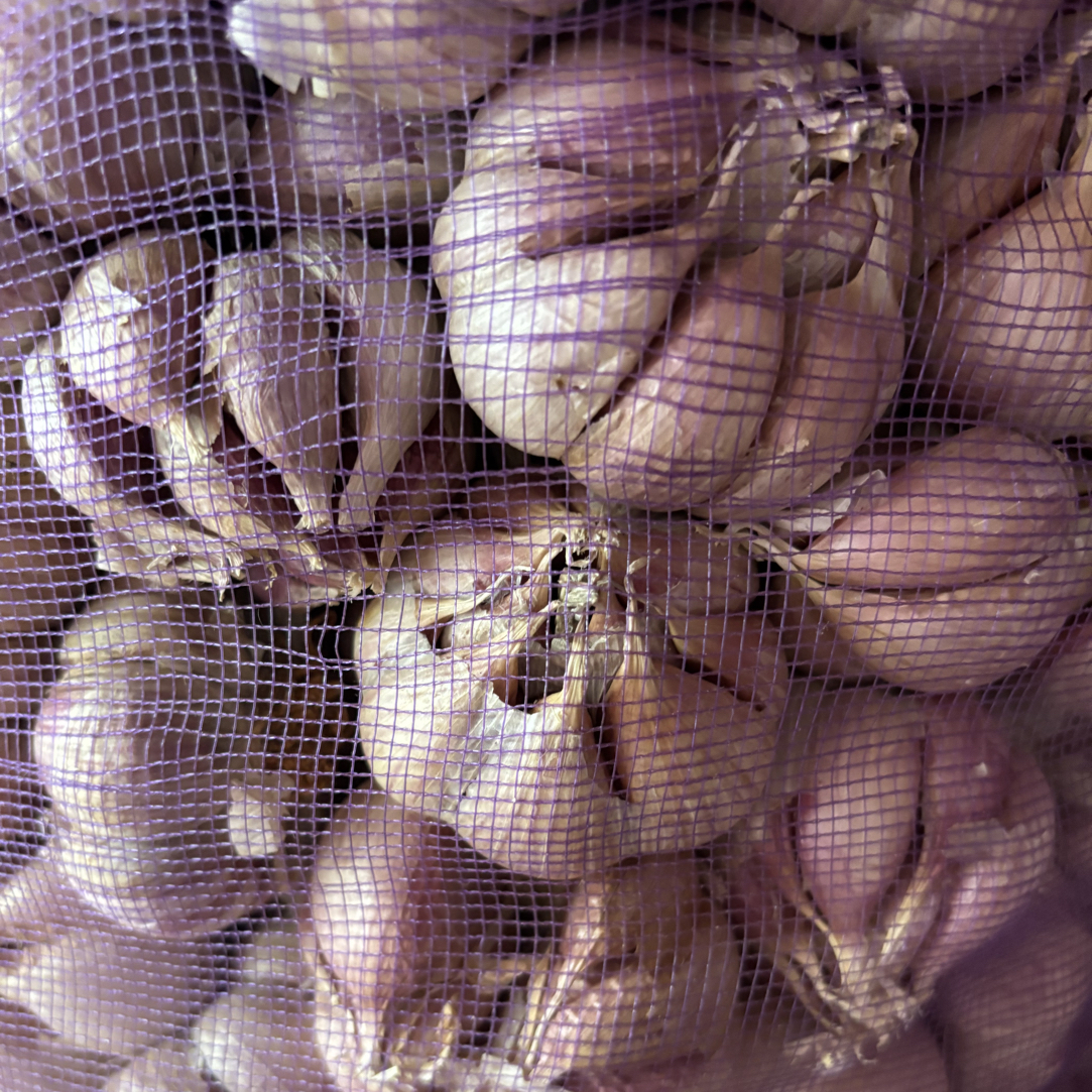 紫白皮干蒜农家自然晾晒大个头饱满可种可炒菜大蒜