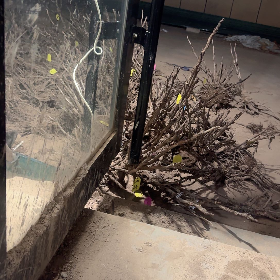 完全开放首，1111111111首