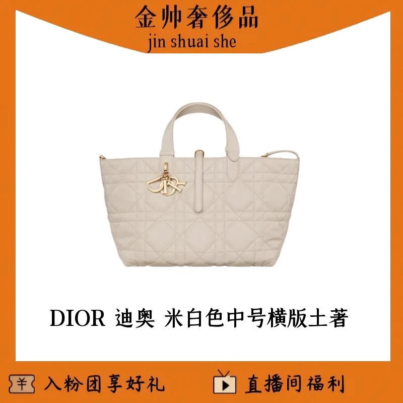 99新 DIOR/迪奥 米白色/土著/横版/中号/单肩包/B6717