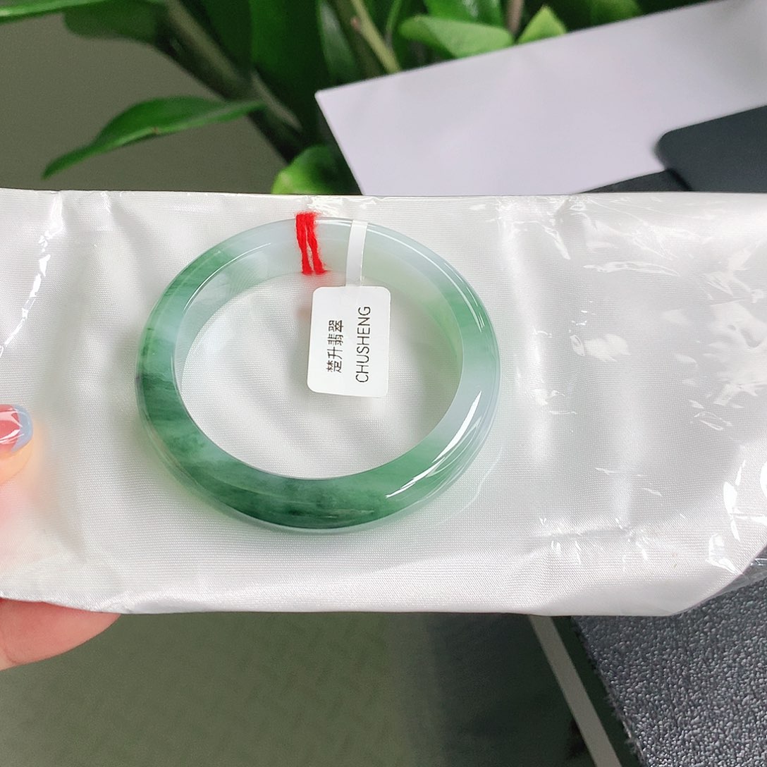 翡翠手镯未镶嵌绿光森林14