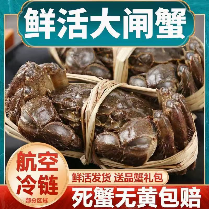 【活蟹】清水全母大闸蟹每只净重3.3-3.6两全母4/10只螃蟹