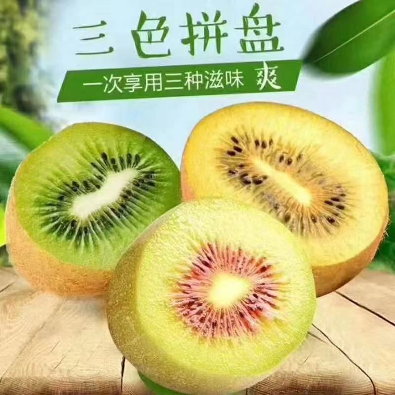 正宗批发西峡直发大果猕猴桃新鲜应季水果奇异果礼品盒整箱包邮