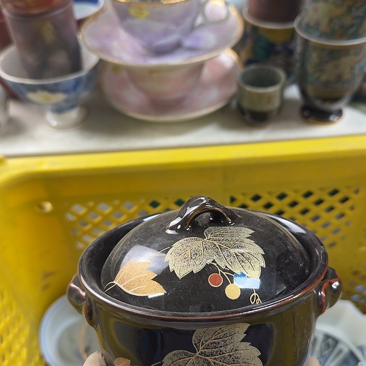 碟开播啦….开播啦