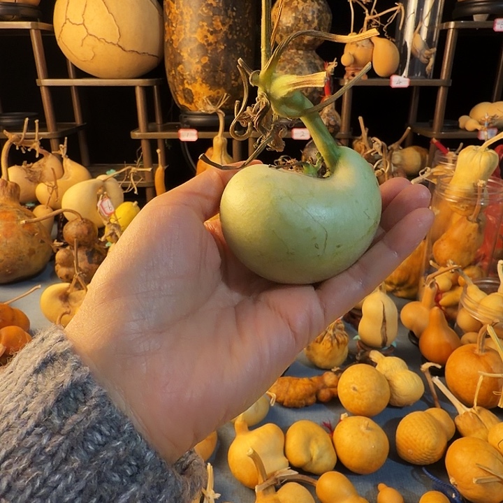 a***锋大叶紫檀（黑酸枝木类）