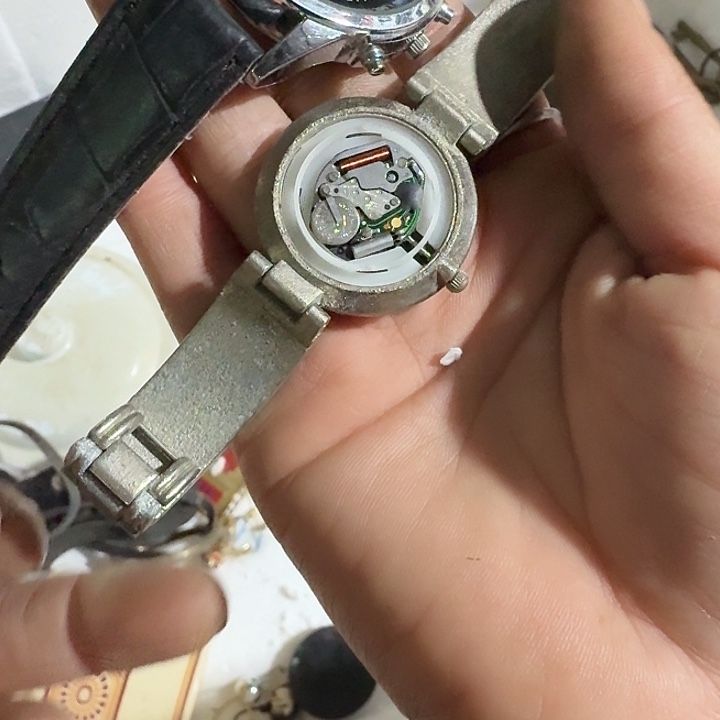 赵***）扇子csnsnfwfnfwjfsnsf