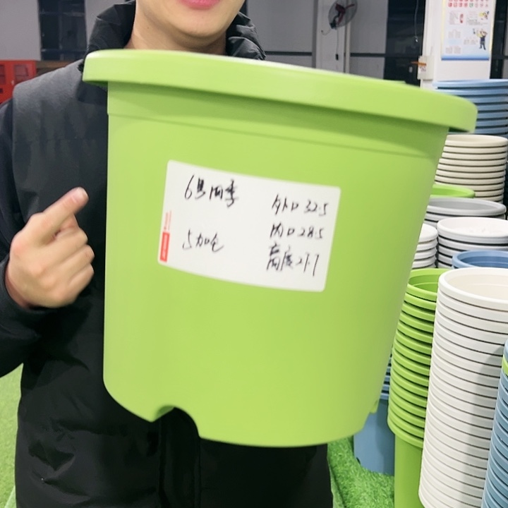 特价6号口32高27.7果绿色7只无托