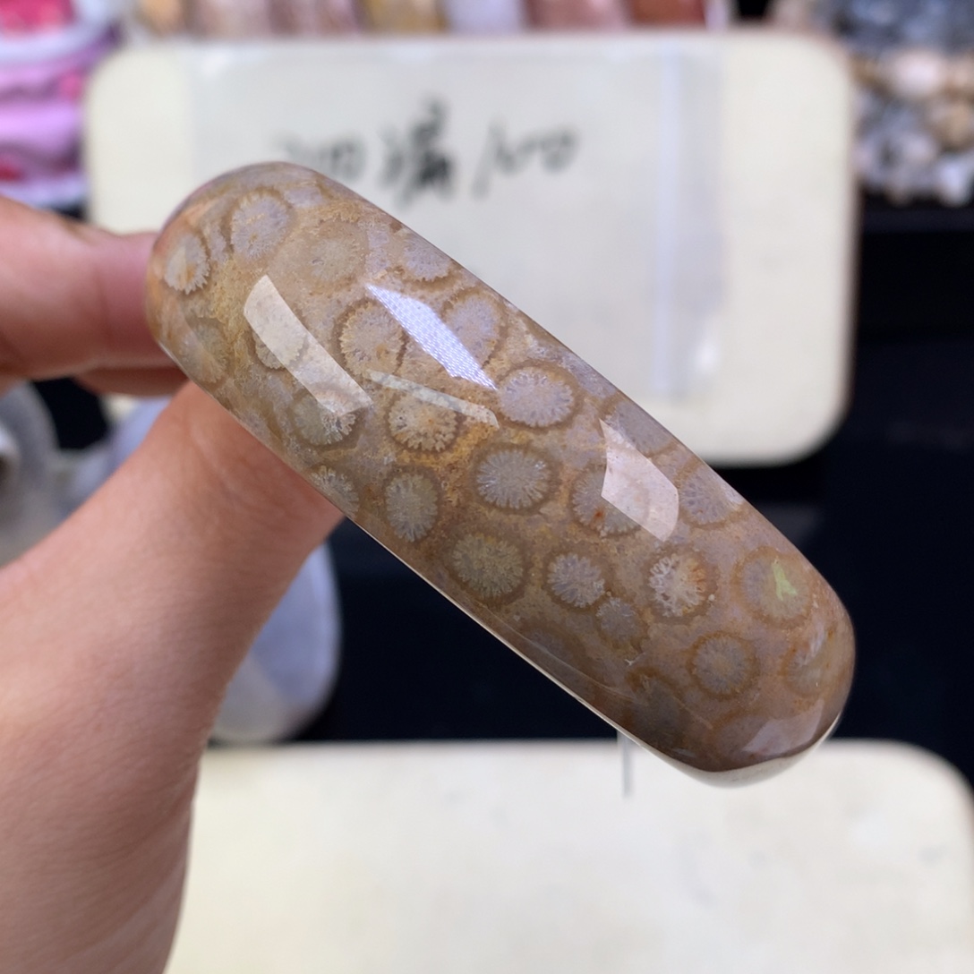 硅化珊瑚（珊瑚玉）未镶嵌吊坠(赠链)（10号）五折手镯58.圈