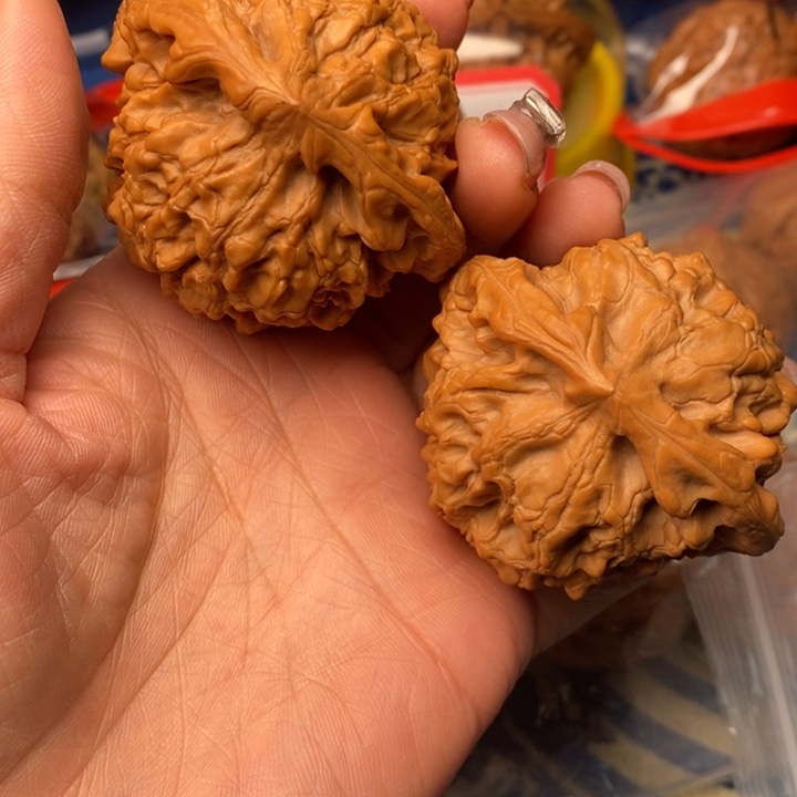 桃核吊坠龙鼎54全品