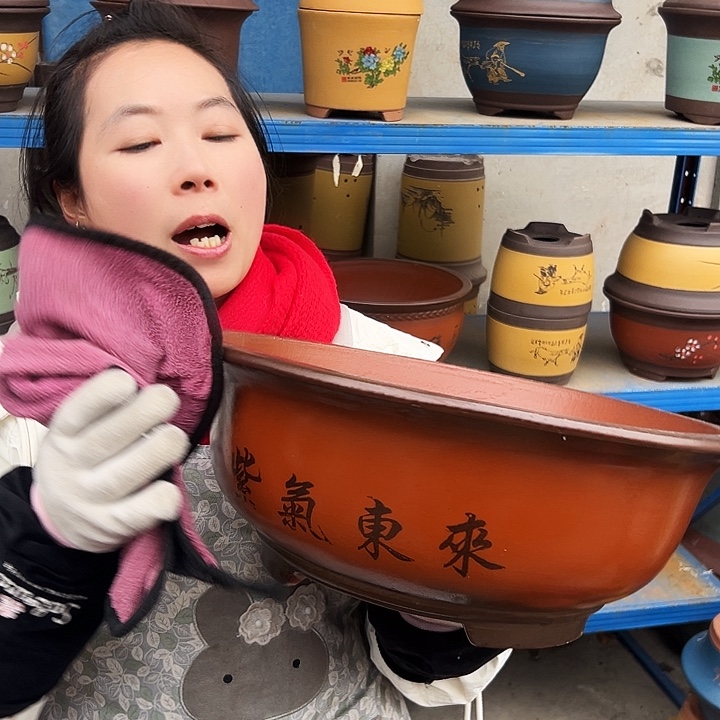 30小红花盆花盆花盆花盆