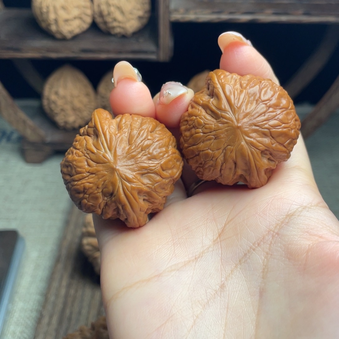 木质铁锤40 全品打底精配毕业红皮