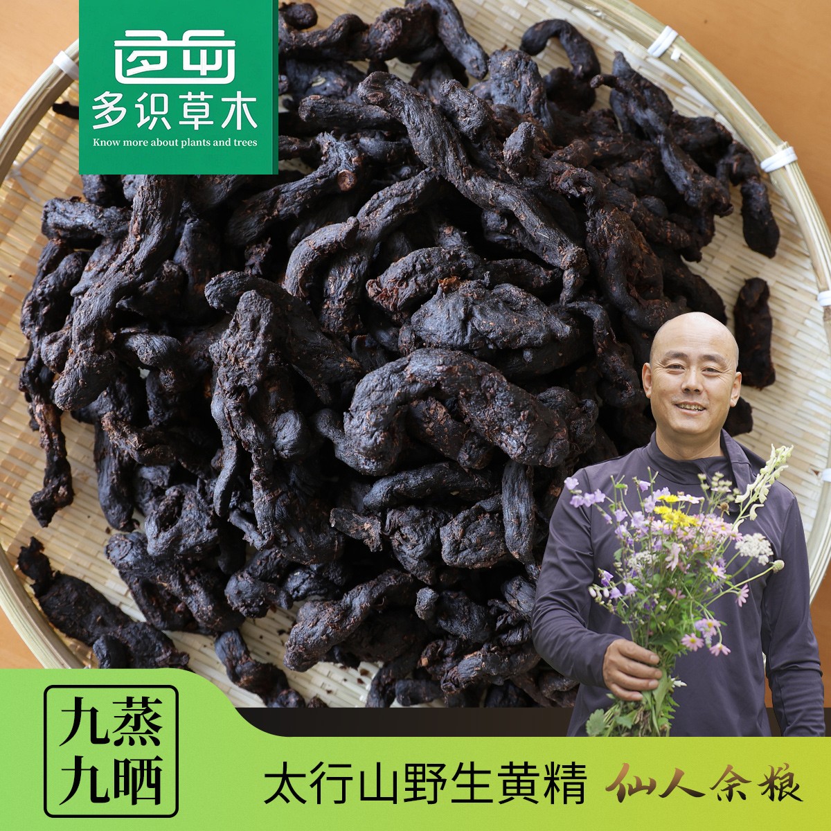 多识草木 鸡头山姜新鲜山姜（太行山野生）仙人余粮