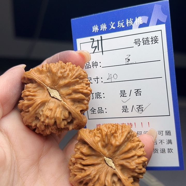 文玩核桃吊坠核桃树311