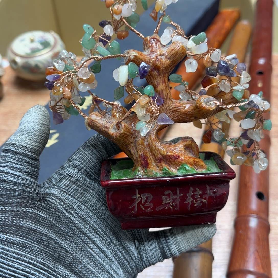 茶宠是因为它可以把自己