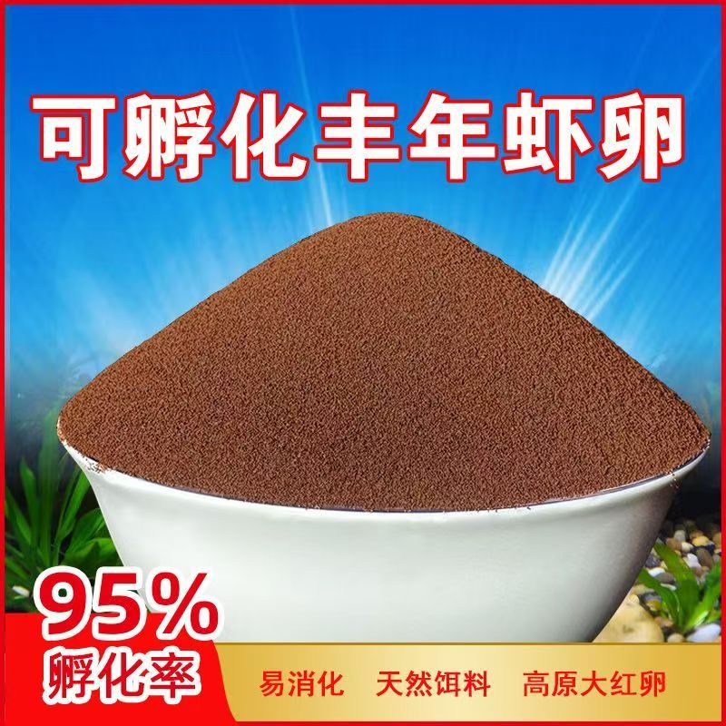 【广东发货】丰年虾大红卵斗鱼开口易孵化高蛋白小鱼开口水母