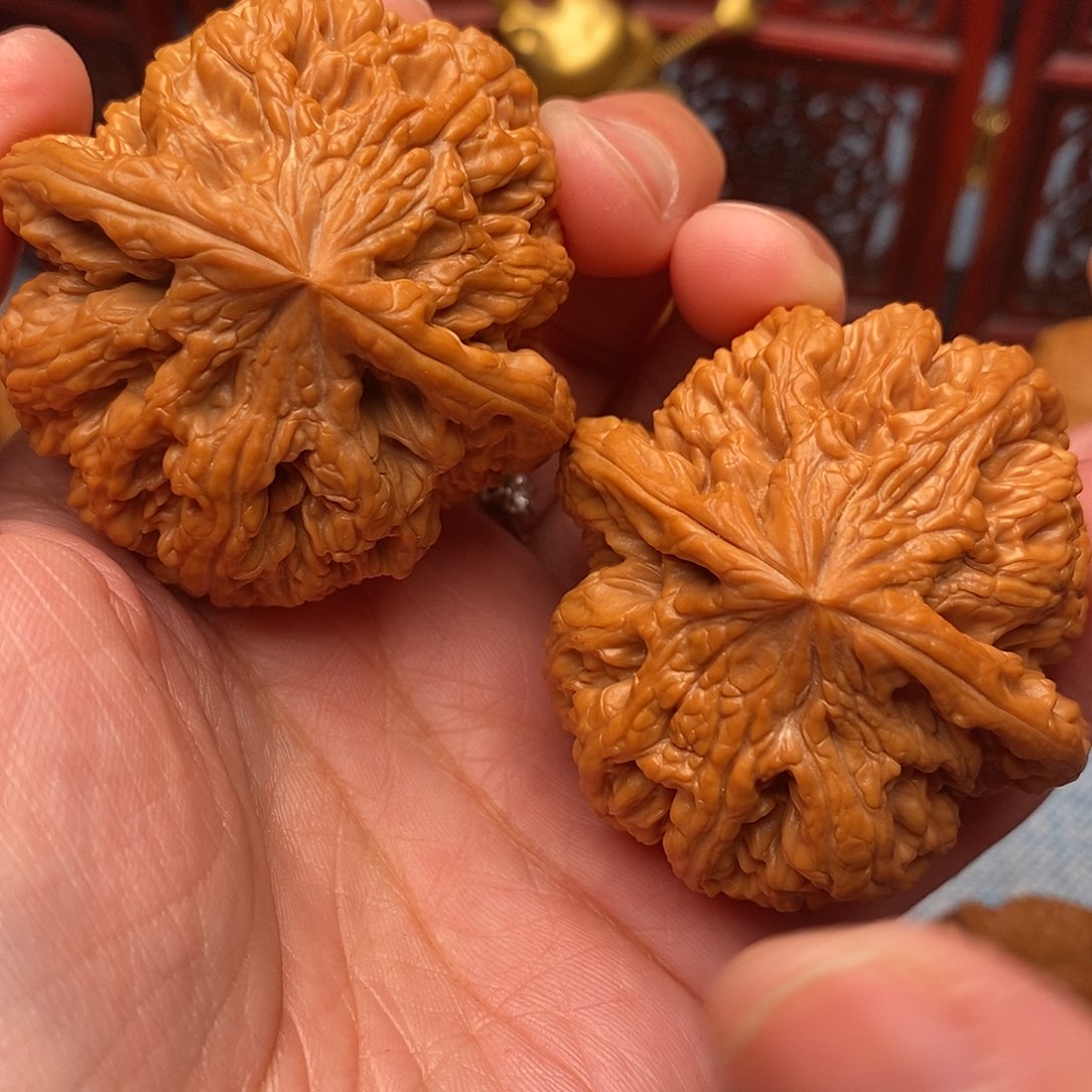 M***'文玩核桃把件毕业粗筋48尺绝配