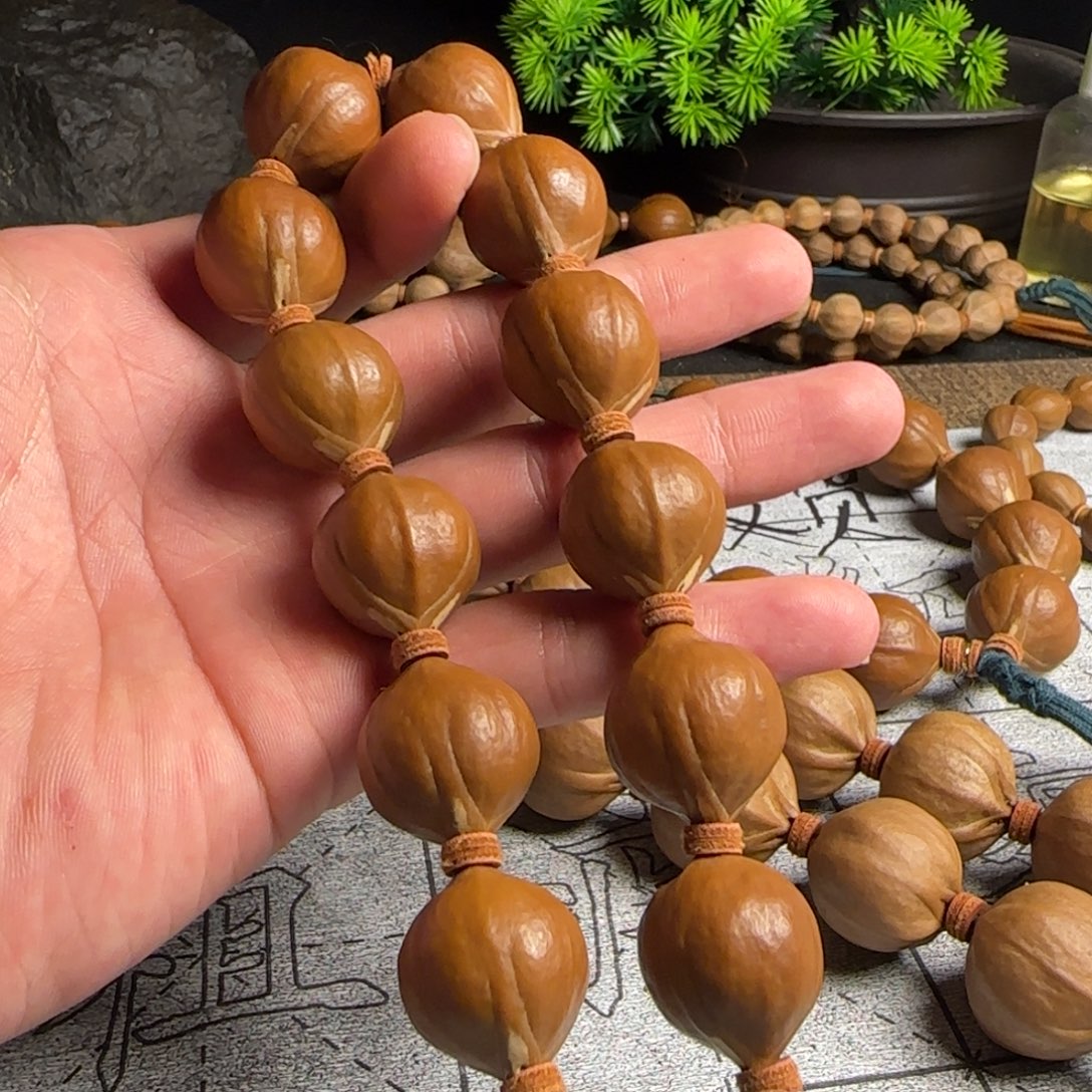 橄榄核2.0老树王四会铁核原生