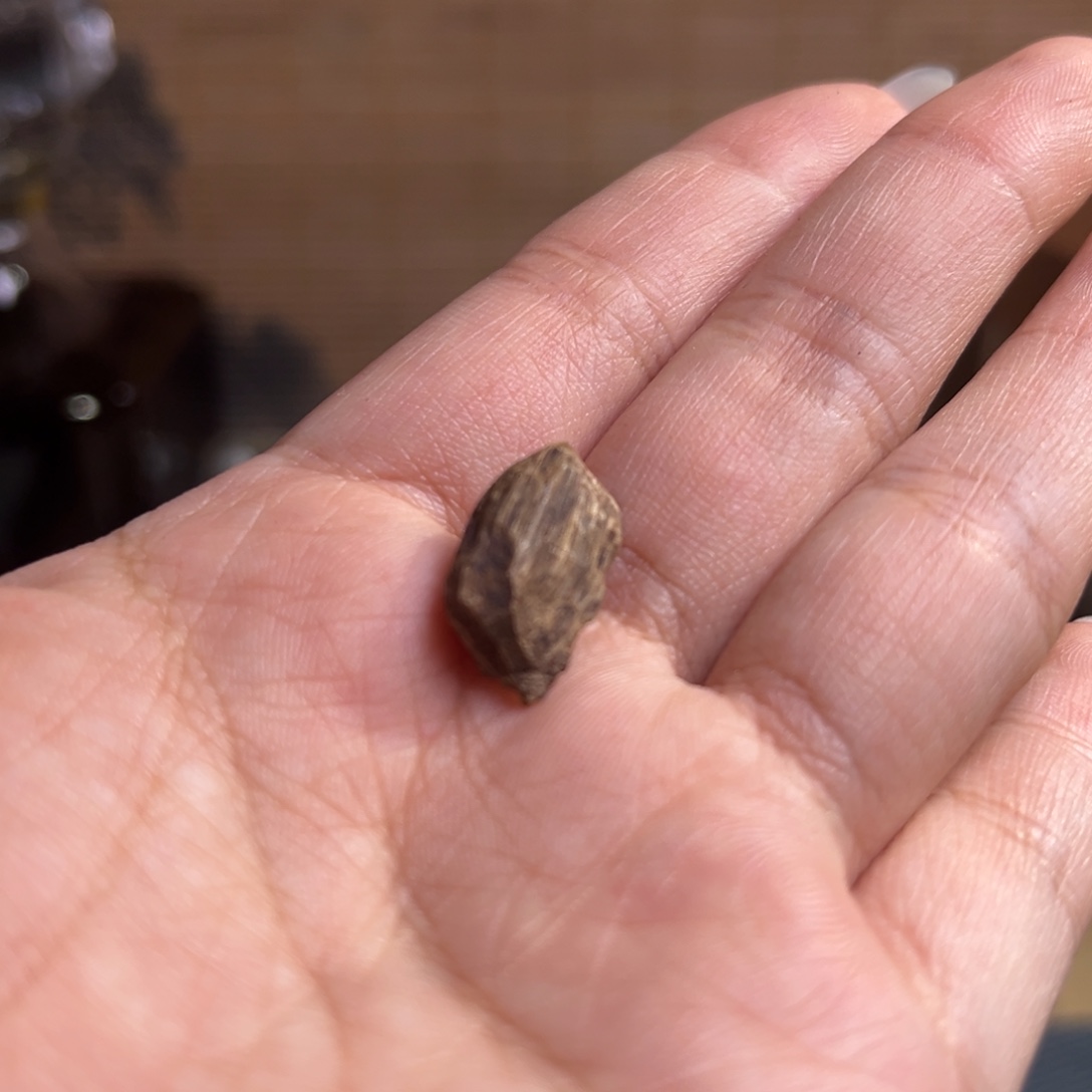 沉香柬埔寨菩萨棋沉水棋楠种0.3克重福利