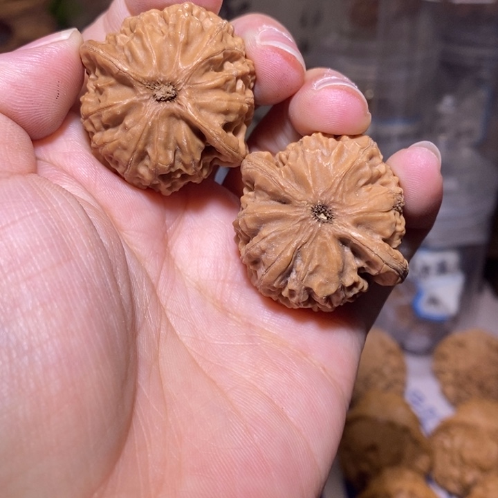 核桃把件宫灯35尺全品