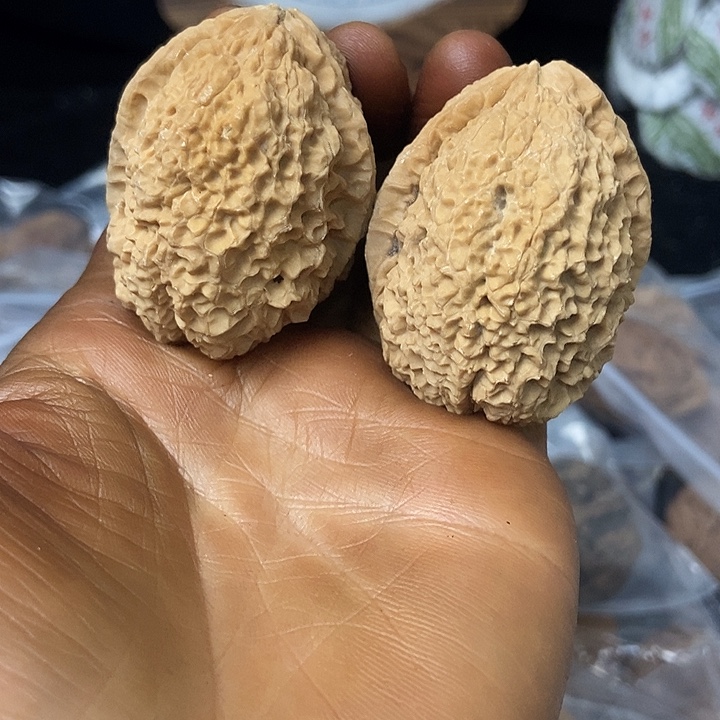 把件文玩核桃云南铁核桃基地48