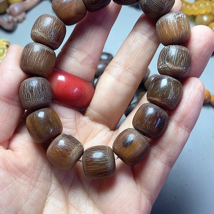 大果紫檀（缅甸花梨）