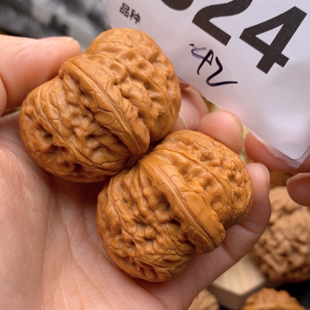 文玩核桃把件824号42元宝