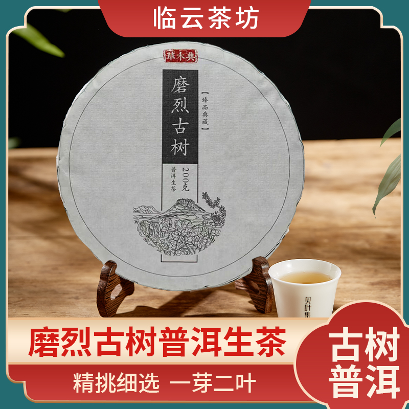 2025 春磨烈古树生茶饼 一口尽揽山野气韵 古树纯料韵悠长