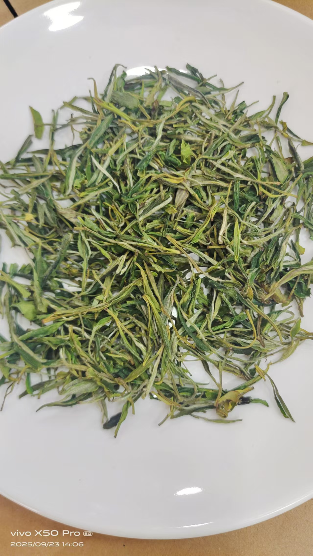 高山铜山寨黄芽升级款浓香耐泡2025新茶口粮茶