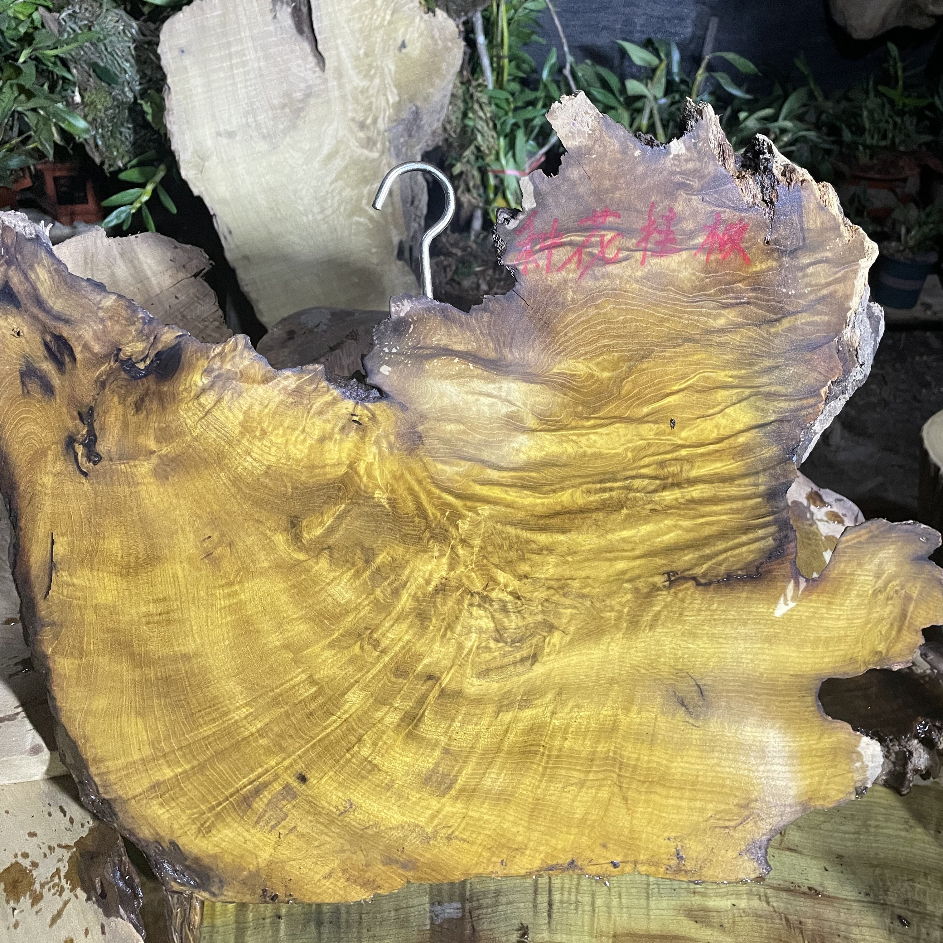 金丝楠木种花挂板专拍链接