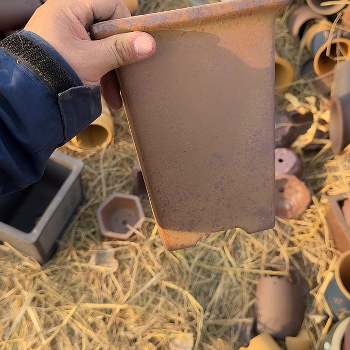 你说是谁就让我们等的你呢亲爱