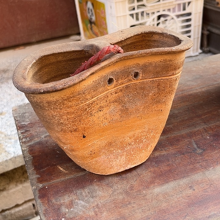 杂色豆（科檀/科特迪瓦檀木）