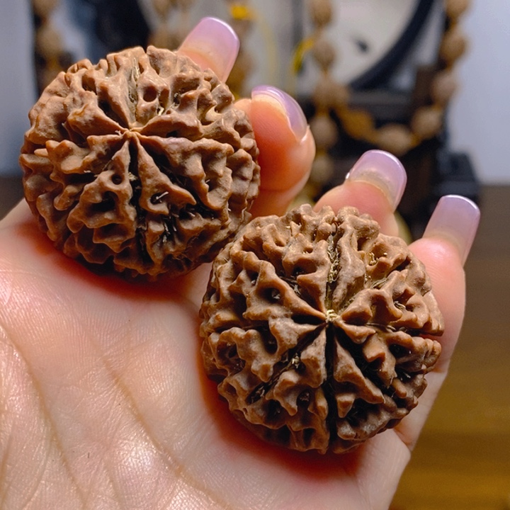 野生多瓣大金刚把件348